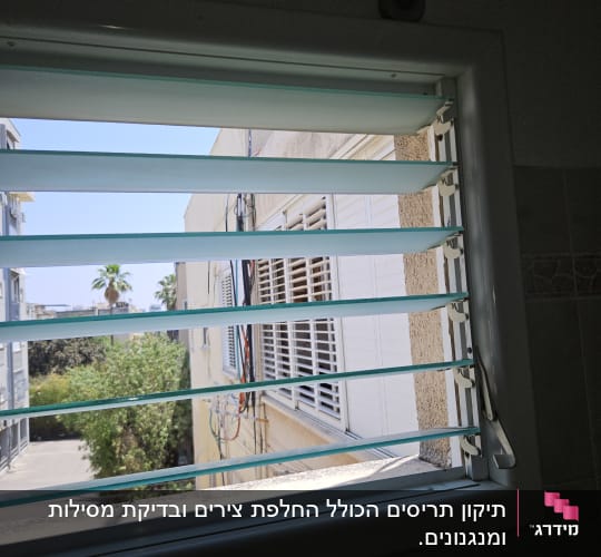 תריסים פתוחים עם נוף חיצוני של בניינים ועצים